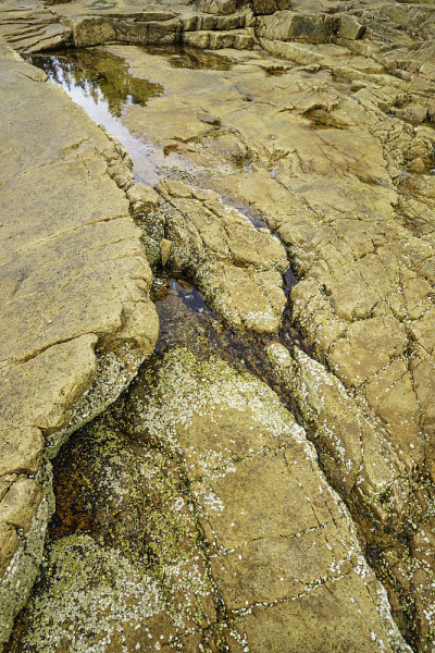 潮汐池水道