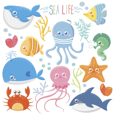 海洋生物