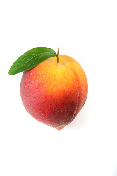 桃子孤立