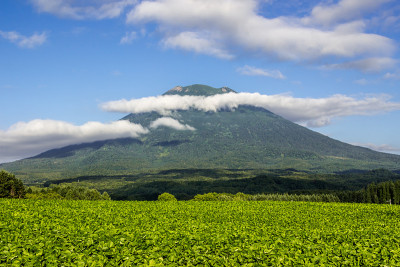 约泰山