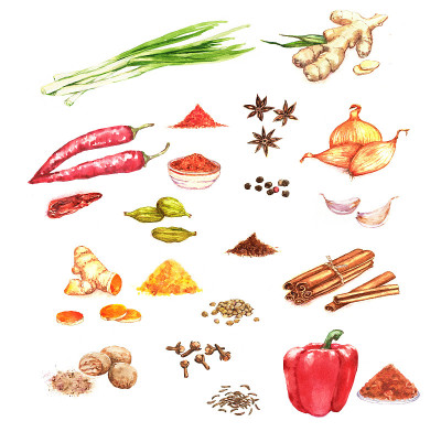 水彩手绘插图与不同的香料