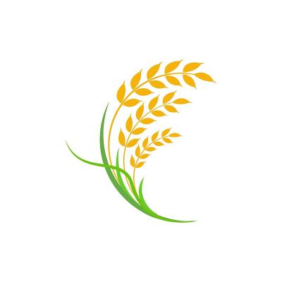 农业小麦水稻矢量图标设计