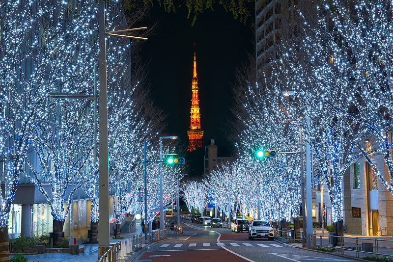 Keyakizaka六本木的照明