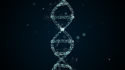数字神经丛DNA分子的抽象技术表示