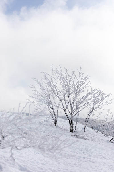 滑雪胜地，秋田县在日本