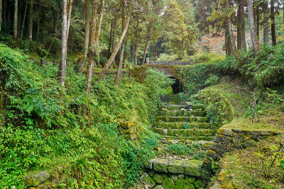 阿里山森林里的拱桥是美丽的绿色风景