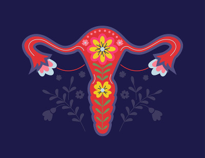 女性生殖系统