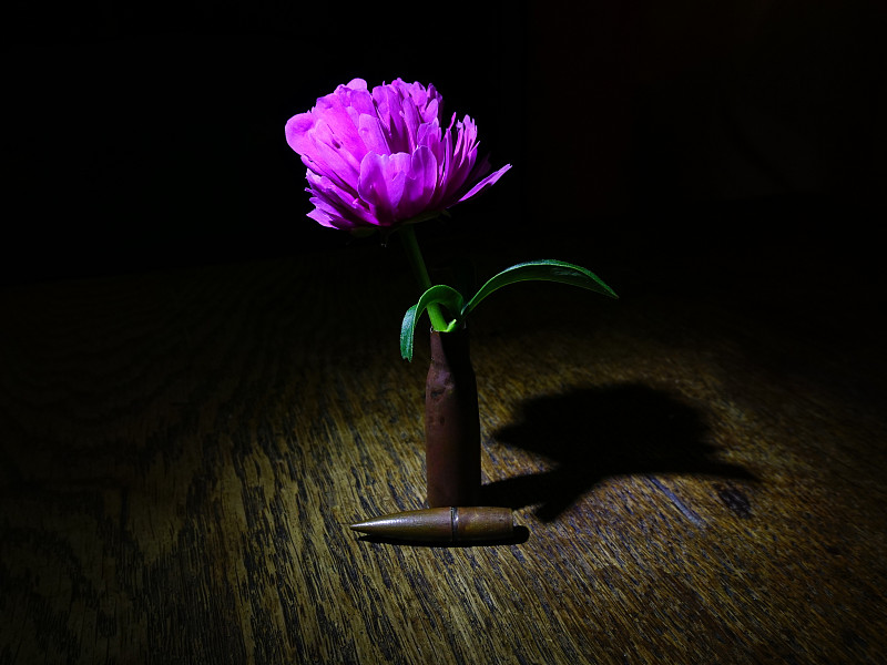 花和子弹