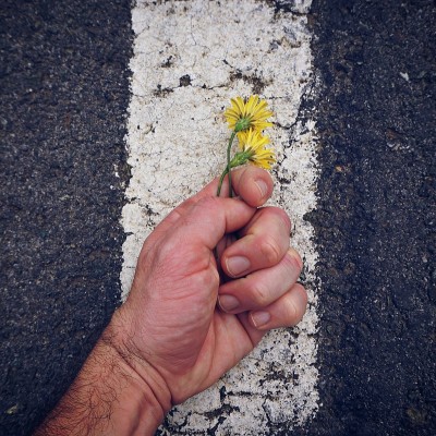 手持黄花