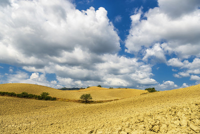 巴西利卡塔Val D'Agri的夏季乡村景观和鲜花田