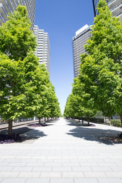 日本横滨的新鲜绿色高层建筑和公寓