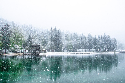 斯洛文尼亚的杰斯纳湖。2019年5月一个寒冷多雪的早晨。雪景湖。树顶上的雪。受欢迎的旅游目的地。斯洛
