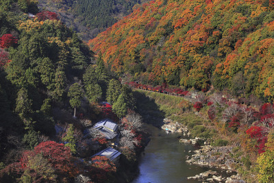 岚山红叶