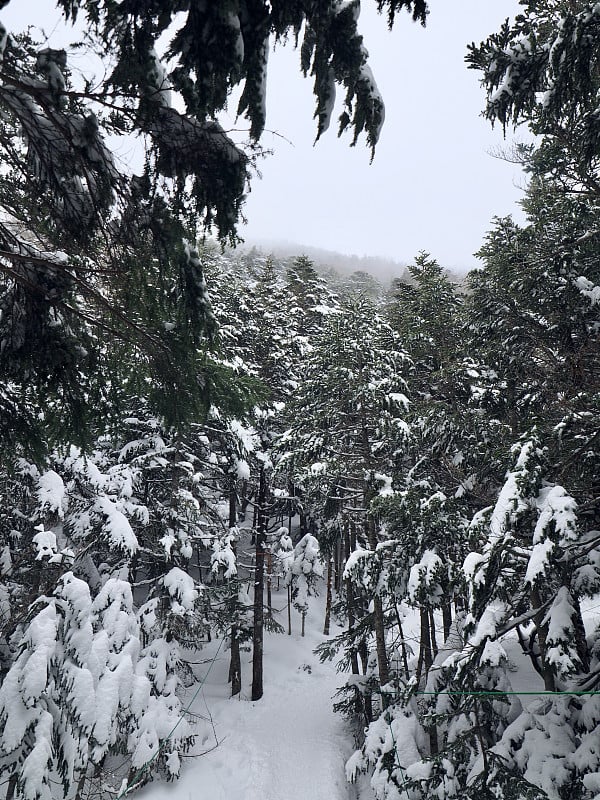 雪山摄影