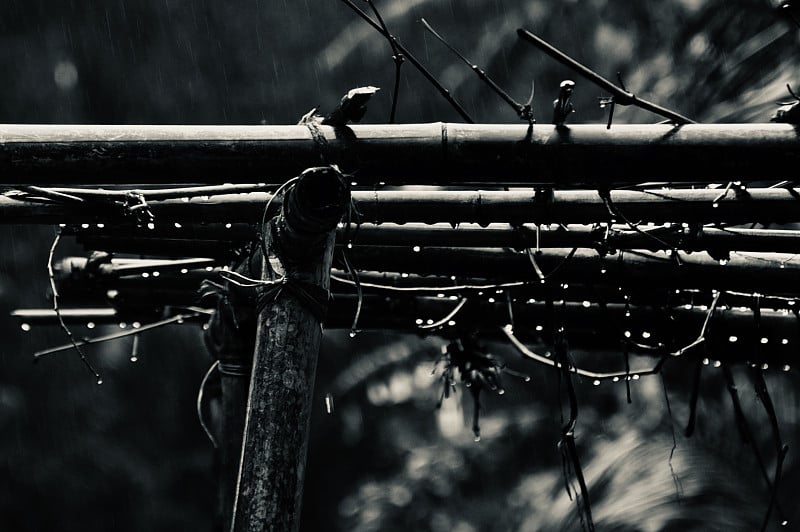 雨水滴在竹子做的建筑上