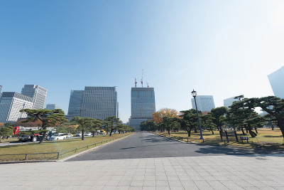 秋叶飘落的东京建筑