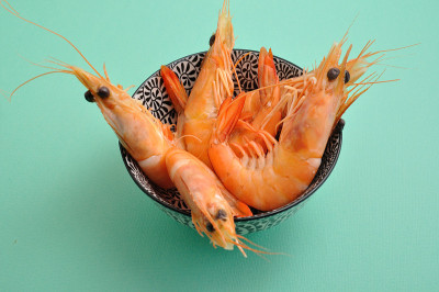 热带虾