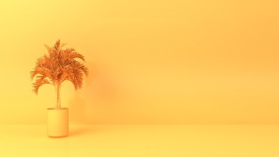 黄色工作室背景与花盆的3d插图