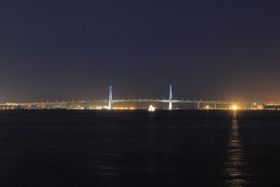 日本神奈川横滨海湾大桥(从林子公园眺望)(夜景)
