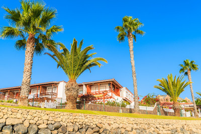 西班牙加那利群岛特内里费岛Costa Adeje镇的棕榈树和传统公寓，背景是蓝天