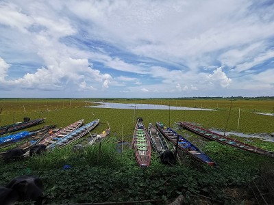 泰勒斯诺伊号长尾船