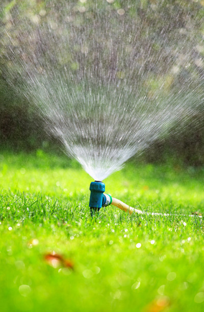 草坪洒水器向绿色草地喷洒水