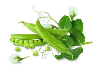 豆荚里的绿豌豆，带花和叶，孤立。