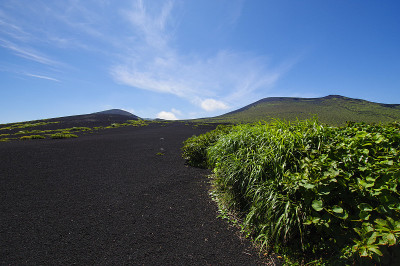 沙漠