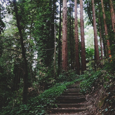 红木楼梯