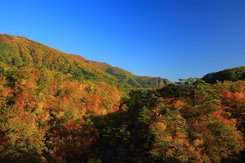 宫城县瀑布谷