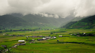 山谷里的梯田
