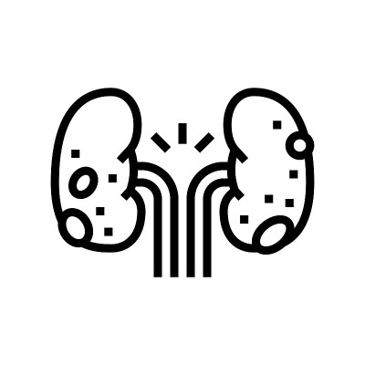 肾小球肾炎肾脏病线图标矢量插图