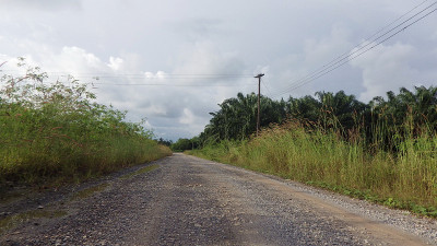 路