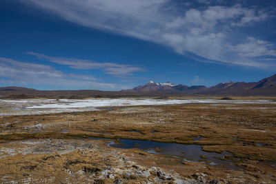 高原湿地