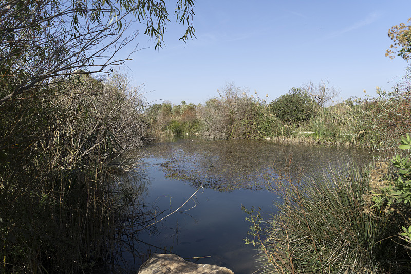 Tel Afek，以色列的自然保护区