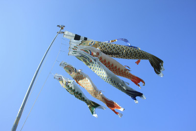 鲤鱼等浮电缆