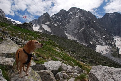瑞富吉奥·西奥拉(Rifugio Sciora)在瑞士皮佐·巴迪勒(Pizzo Badile)附近的