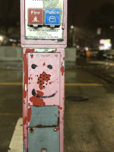 多雨的剩菜