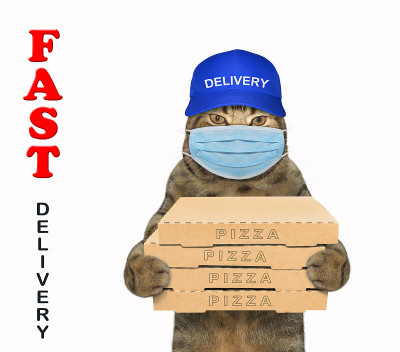 戴口罩的猫送披萨