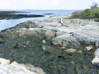 Jaquish岛场景