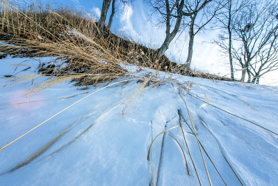 雪高原