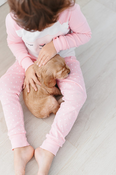 可爱的小女孩和小狗英国可卡犬在家里玩耍。