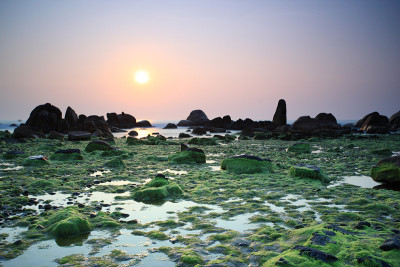 野生Runrise海滩，绿色苔藓，cothach，士兵，越南