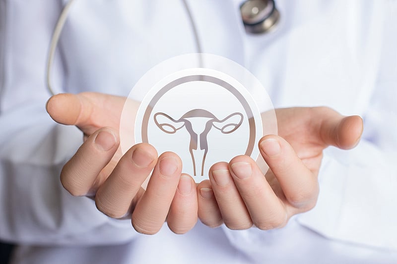 支持妇女子宫健康的理念。