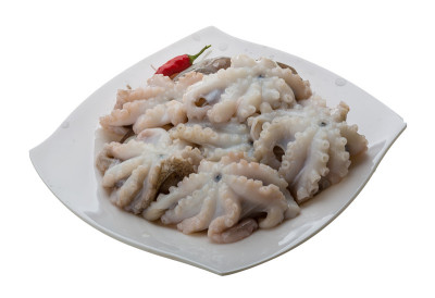 生的章鱼