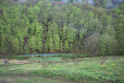 Djurdjevica Tara村的景观