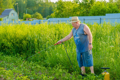 An elderly man in a hat sprays an insecticide on t