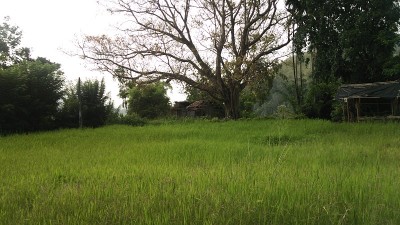 在去艾拉洛克的路上