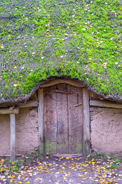 茅草屋顶青苔小屋紧闭的门