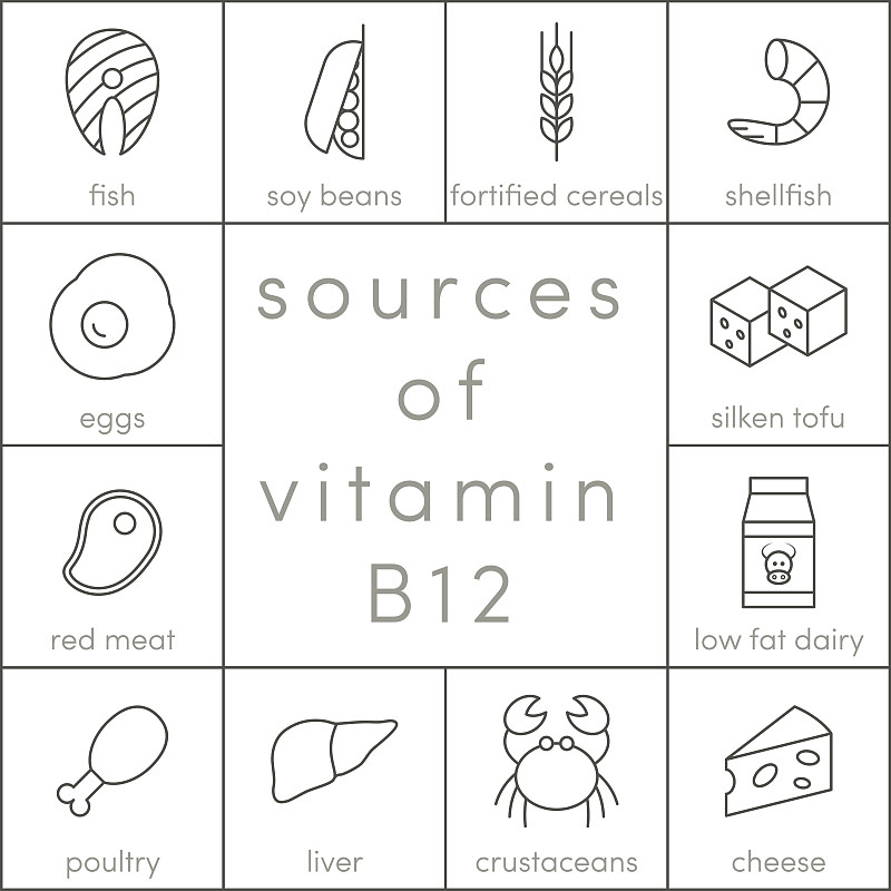 维生素B12向量
